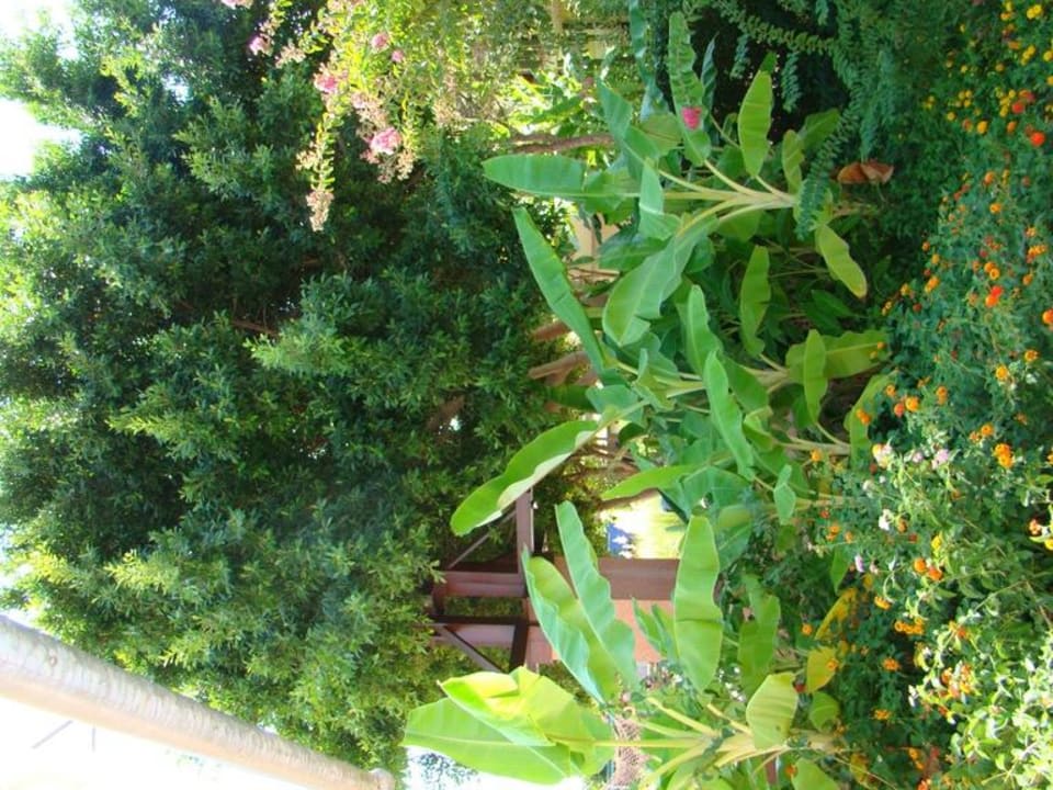 Сад Limak Limra Hotel & Resort