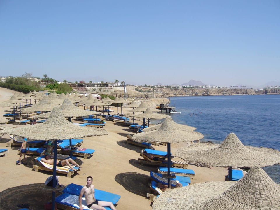 Widok z wieży ratownika Amphoras Blu