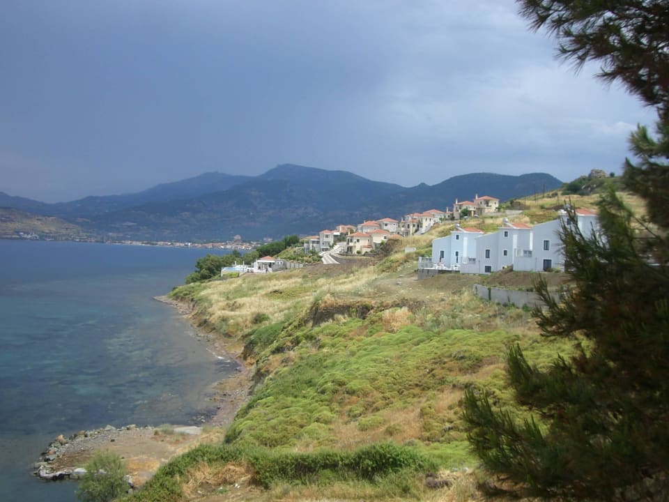 Aussicht von der Terrasse Richtung Petra Hotel Anaxos Hill Village