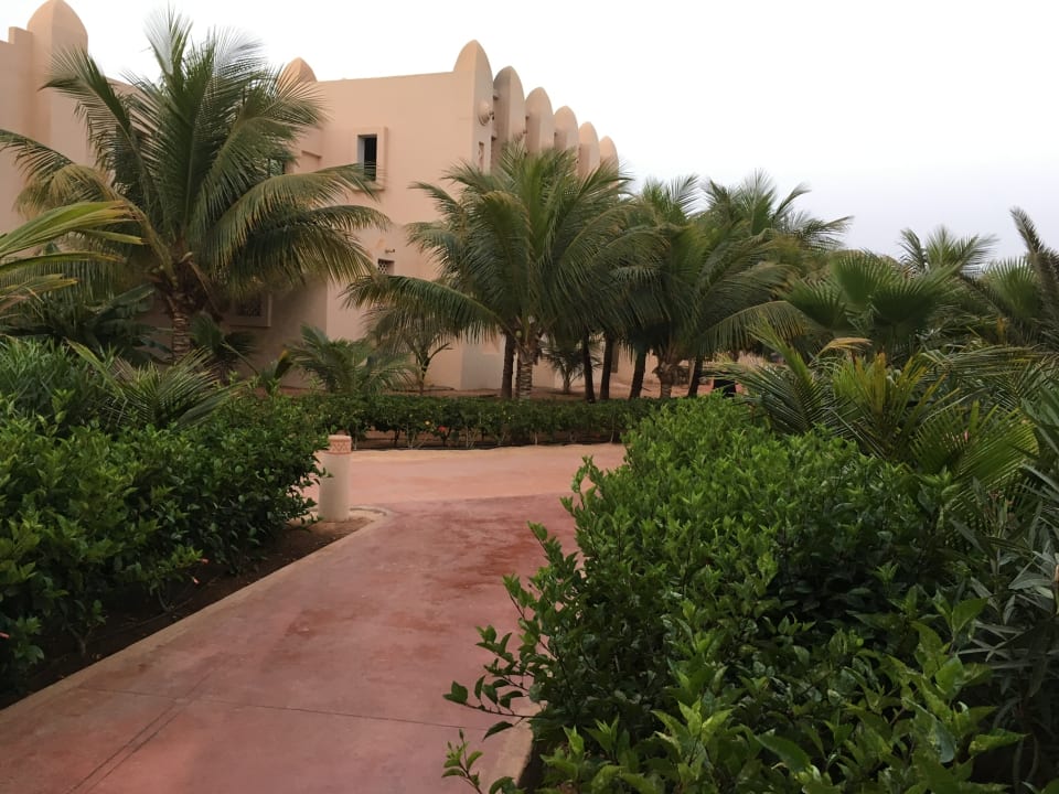 Gartenanlage Hotel Riu Touareg