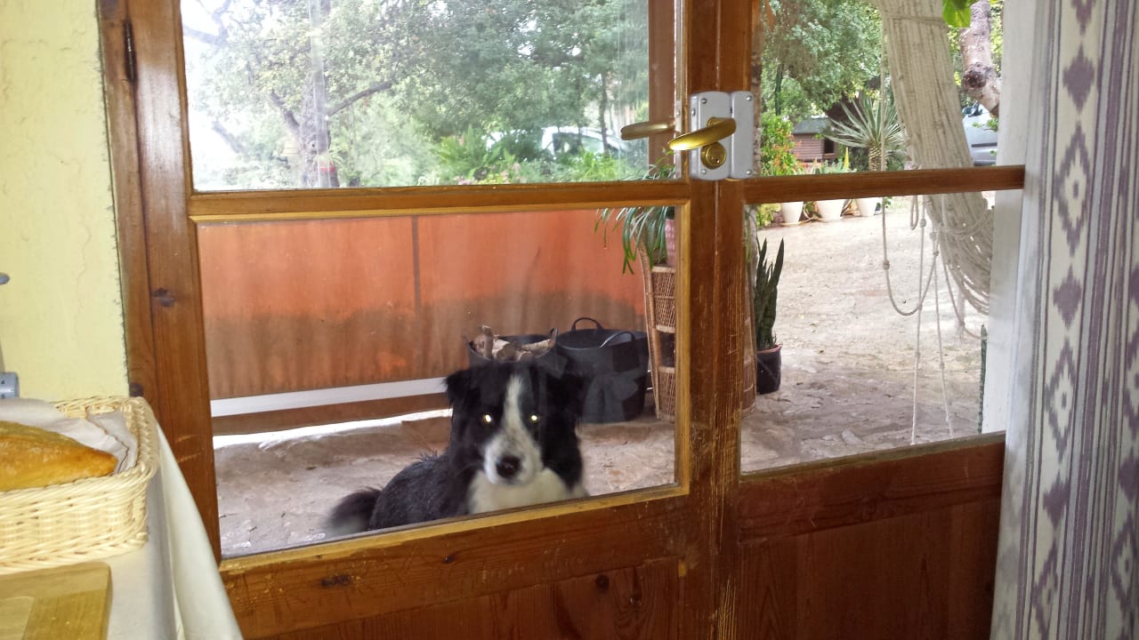 Sonstiges Finca Can Guillo
