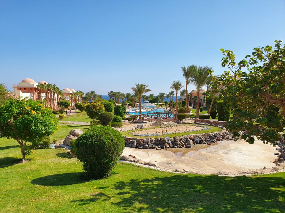 Ausblick Serenity Alpha Beach