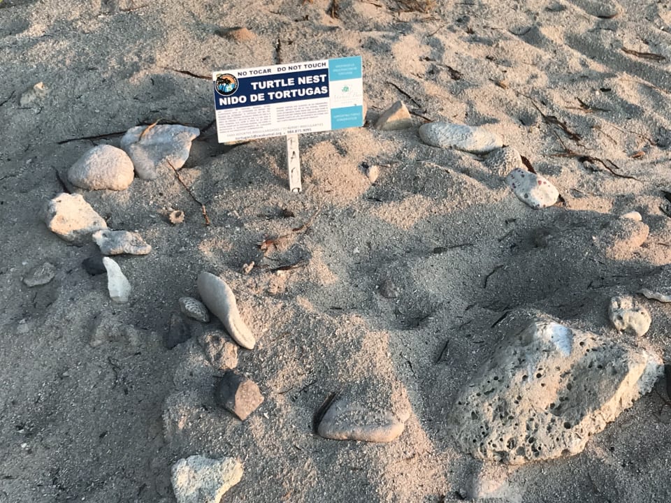 Strand Akumal Bay Beach & Wellness Resort