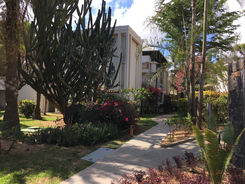 Weg zu den Zimmern Lagoon Attitude - Adults only