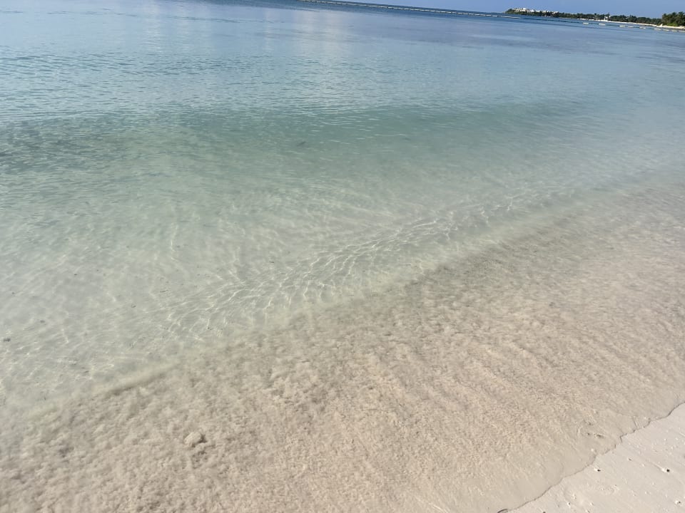 Strand Akumal Bay Beach & Wellness Resort