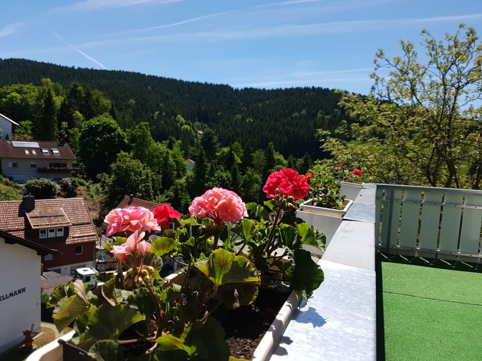 Ausblick Hotel Pension Jägerstieg