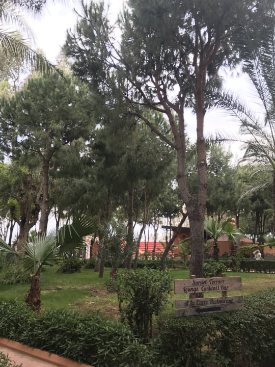 Gartenanlage Club Turtas Beach Hotel