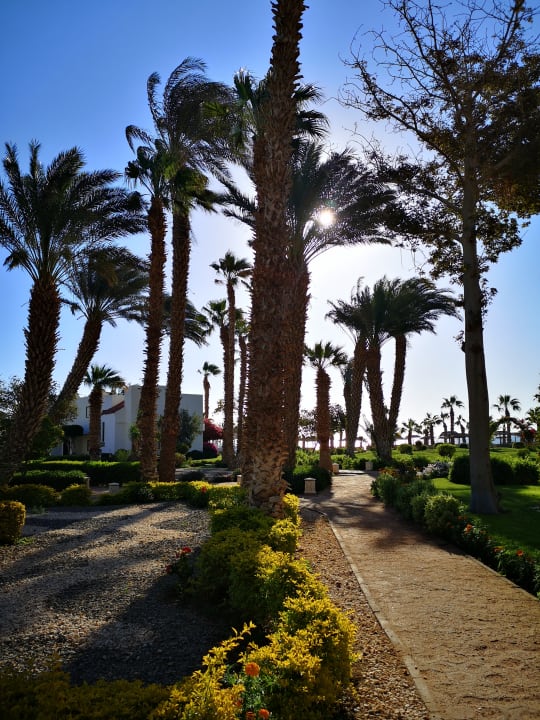 Gartenanlage Lotus Bay Beach Resort