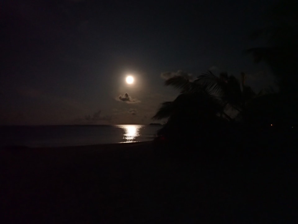 Ausblick NH Collection Maldives Havodda Resort