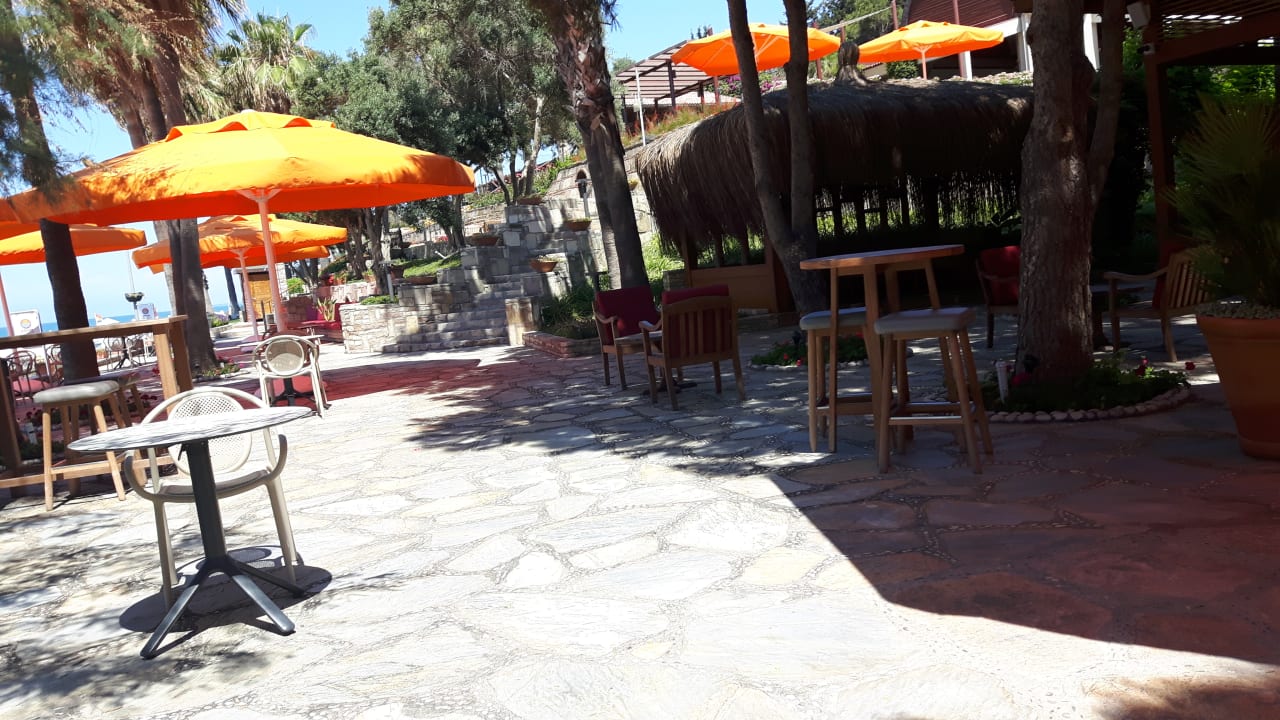 Gastro Arum Barut Collection