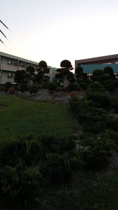 Teren hotelu. Blue Lagoon Resort