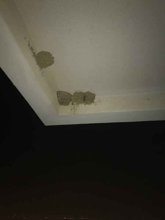 Zimmer Seaden Sea World Resort & Spa