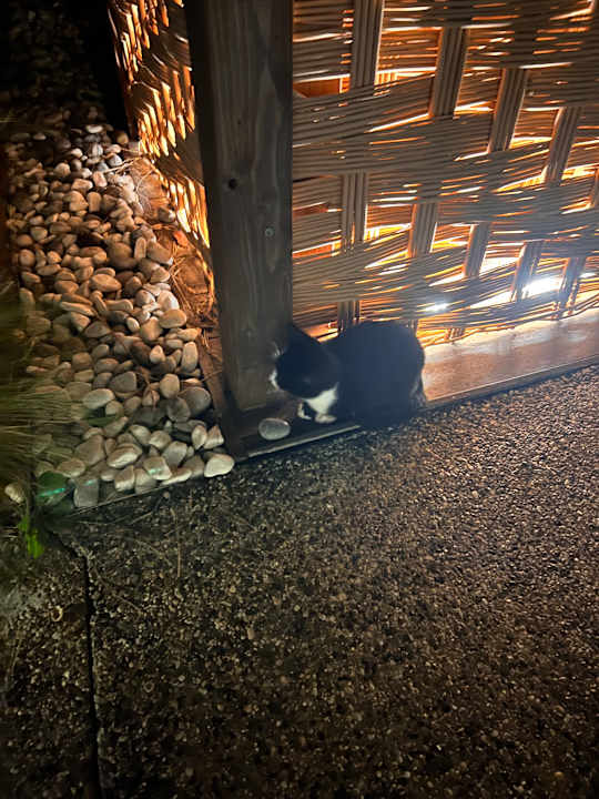 Gartenanlage Caravia Beach Hotel