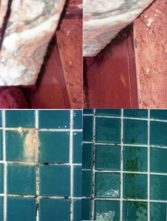 Poolbereich Kamelya Aishen Club