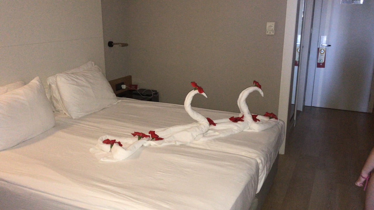 Zimmer Trendy Aspendos Beach Hotel