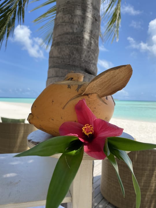 Pool Dhigufaru Island Resort