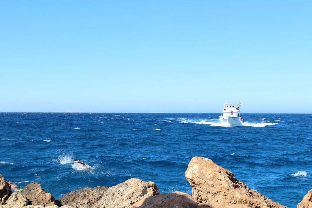 Катер возвращается в отель Pickalbatros Citadel Resort