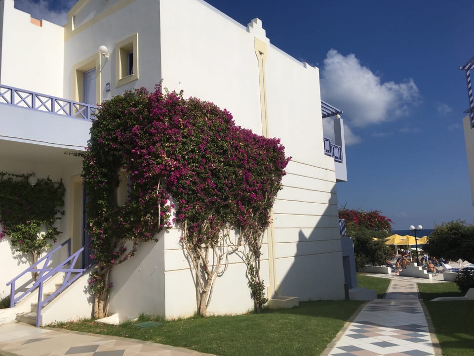 Außenansicht Hotel Serita Beach