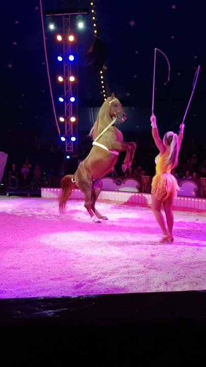 Sport & Freizeit Wunderland Kalkar
