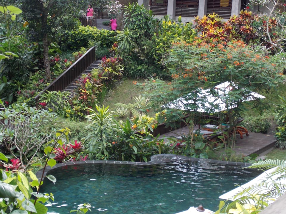 Kleiner Pool am Spa Maya Ubud Resort & Spa Bali