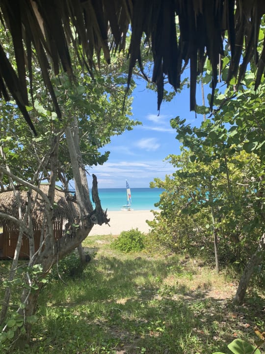 Strand Iberostar Origin Taínos