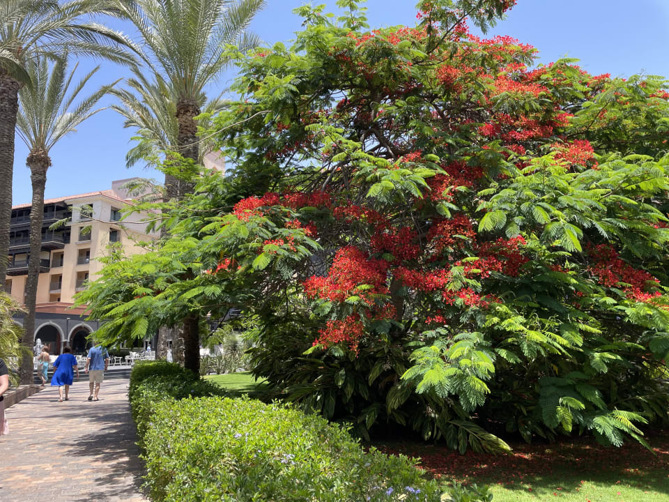 Gartenanlage Lopesan Costa Meloneras, Resort & Spa