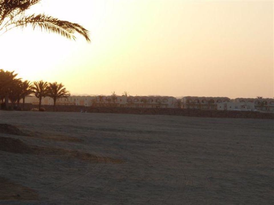 Sonnenuntergang Steigenberger Coraya Beach - Adults only