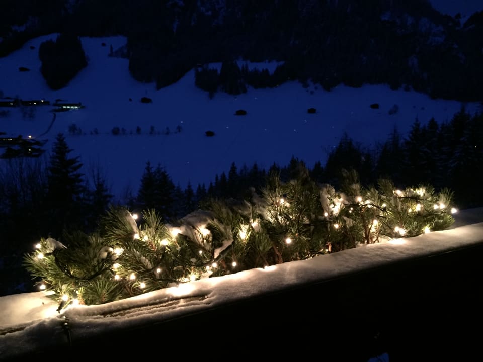 Ausblick Bergwald-Appartements -Alpbach
