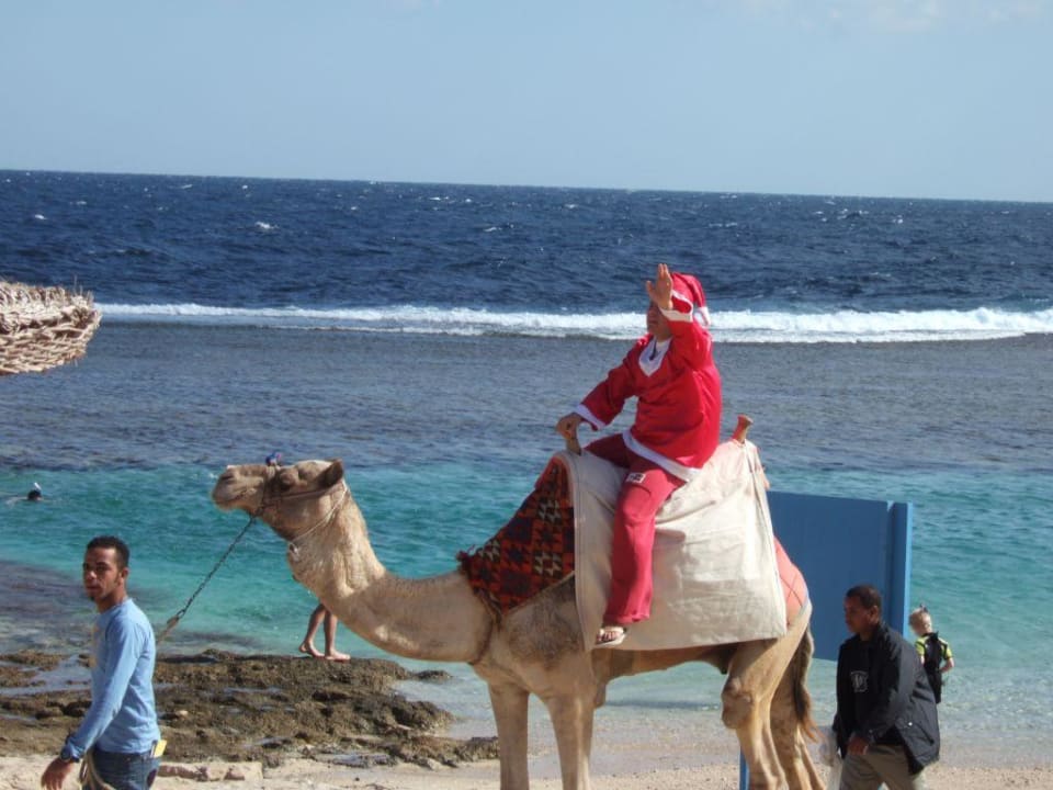 24 Dezember am Strand Sentido Akassia Beach