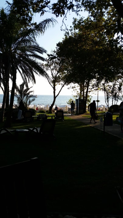 Weg zum Strand Side Star Elegance