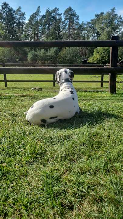 Außenansicht Ferienhof Zur Alten Fuhrmanns-Schänke