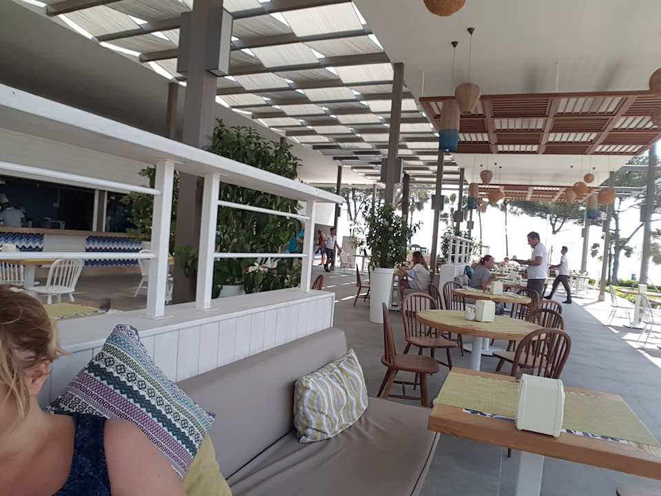 Gastro Acanthus Cennet Barut Collection