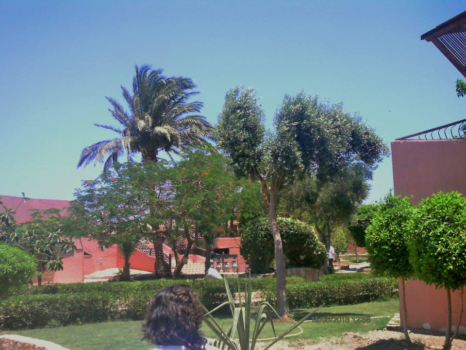 Garten Eagles Paradise Abu Soma