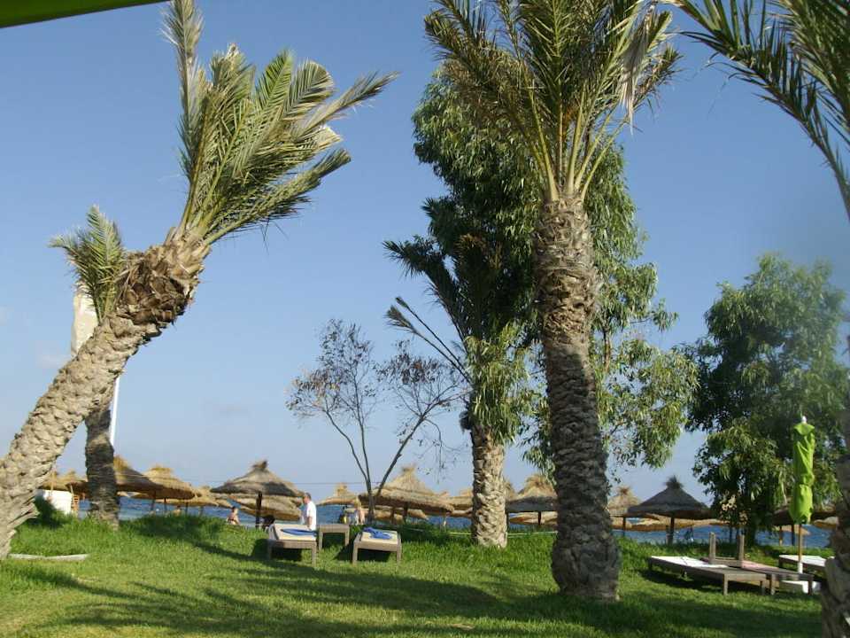 Schöne Ecke zum Liegen  Hotel Rosa Beach