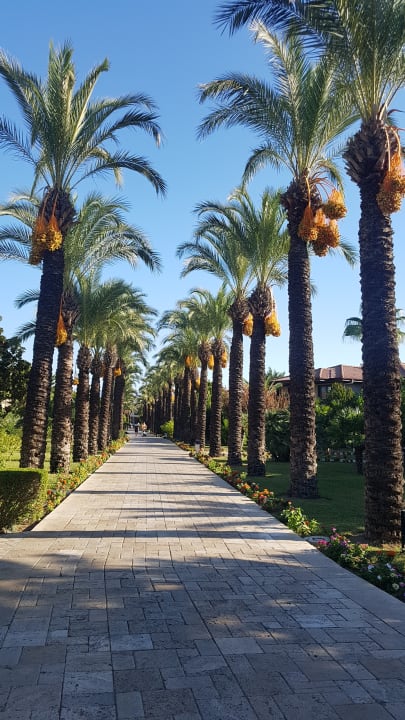 Gartenanlage TUI BLUE Palm Garden