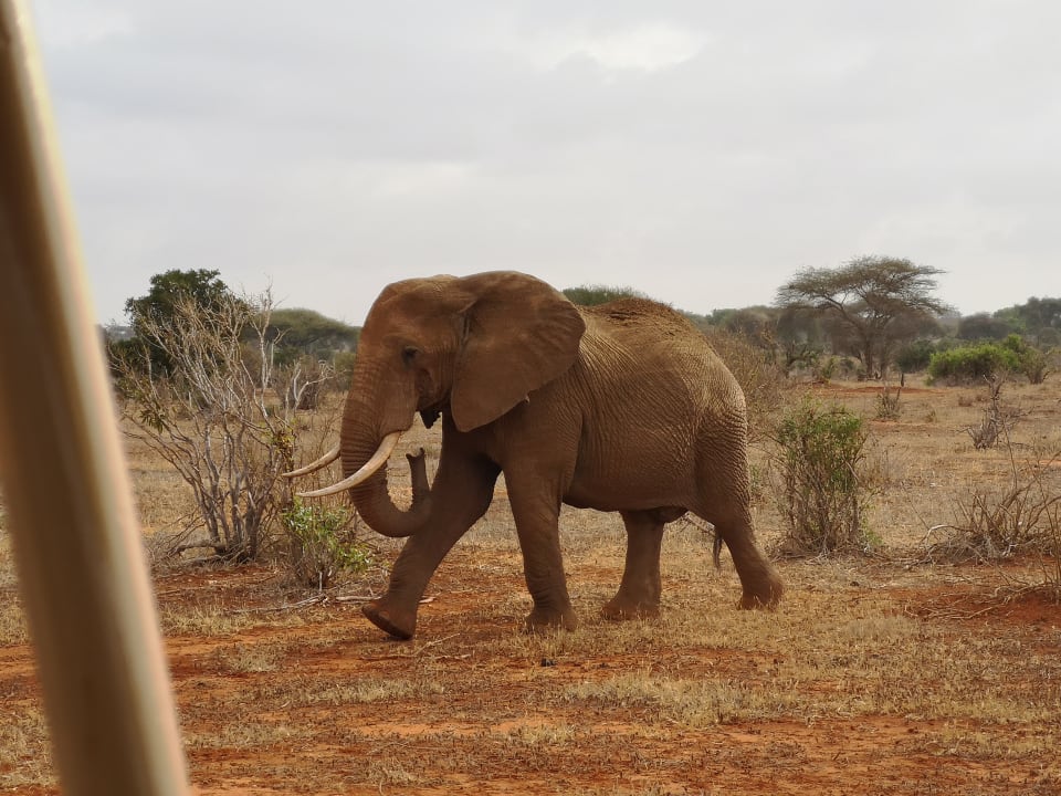 Sport & Freizeit Diani Sea Resort