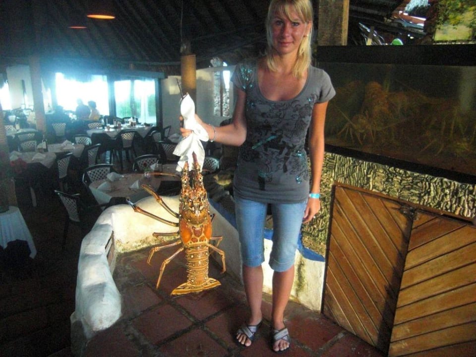 Lobsteressen Hotel Miramar Village