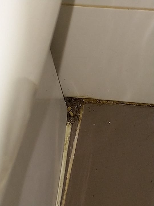 Zimmer Elba Carlota Beach & Golf Resort