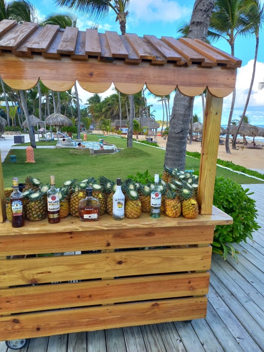 Gastro Excellence Punta Cana - Adults only