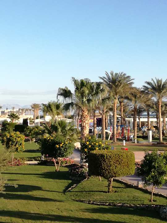 Ausblick Pickalbatros Royal Moderna Resort-Sharm El Sheikh