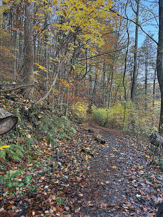 Sport & Freizeit Panoramic - Ihr Apartmenthotel im Harz