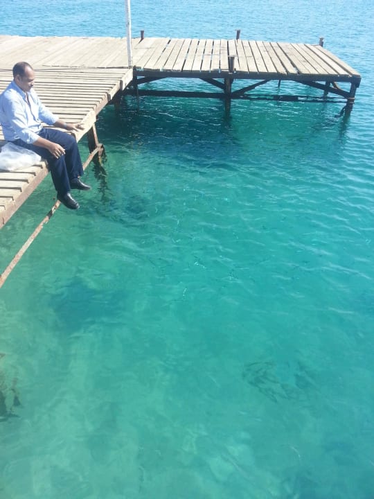 Giftun  Giftun Azur Resort