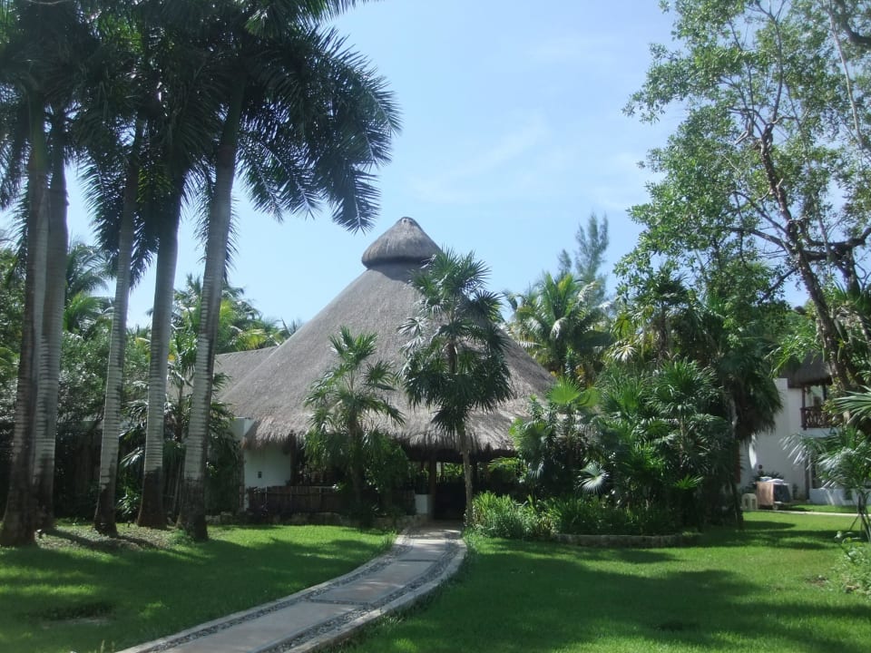 Restaurant Acuario Hotel Las Palapas