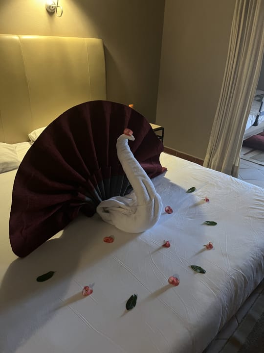 Zimmer Jaz Makadi Oasis Resort