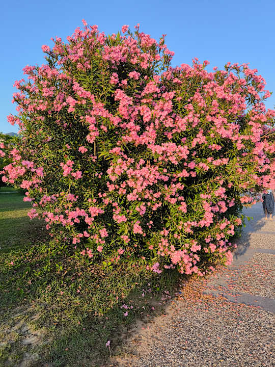 Sonstiges J'adore Deluxe Hotel & Spa