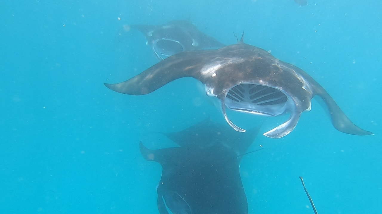 Sport & Freizeit NH Collection Maldives Reethi Resort