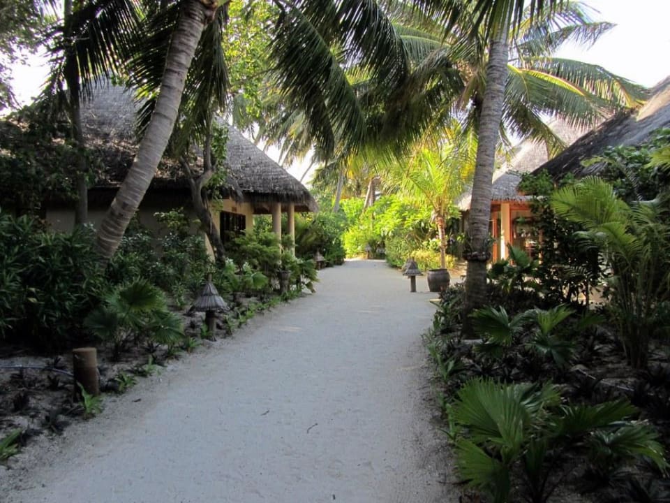 Weg zum Restaurant Veligandu Maldives Resort Island
