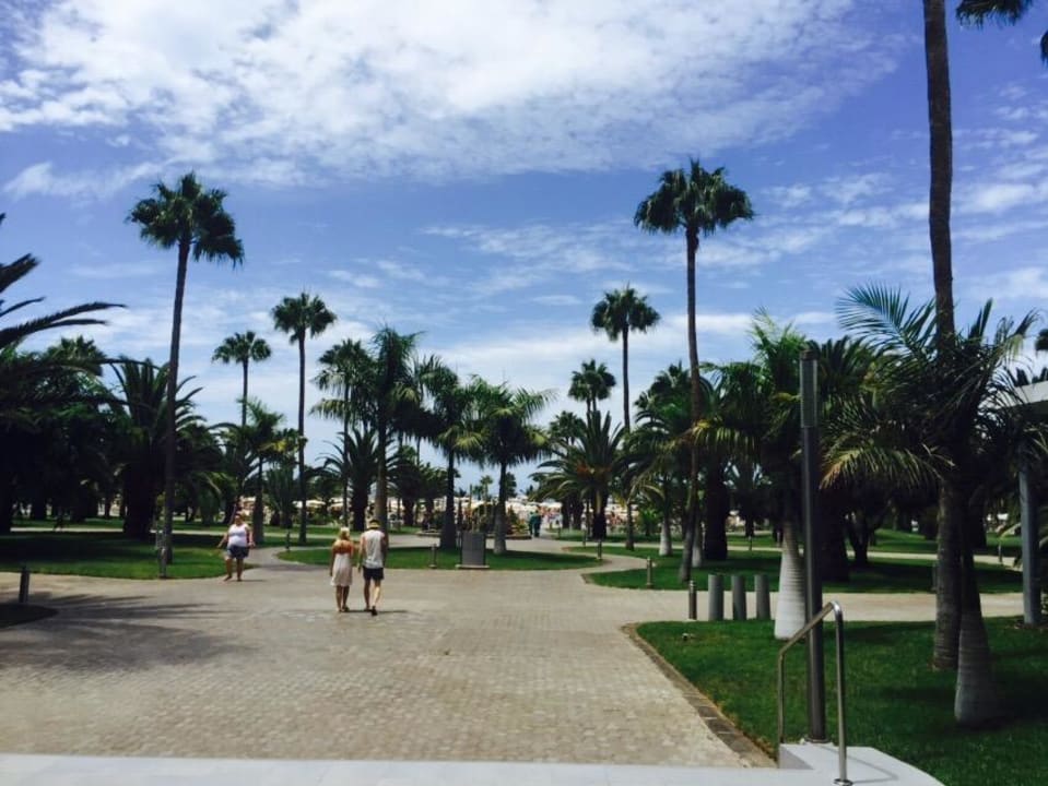 Garten Hotel Riu Gran Canaria