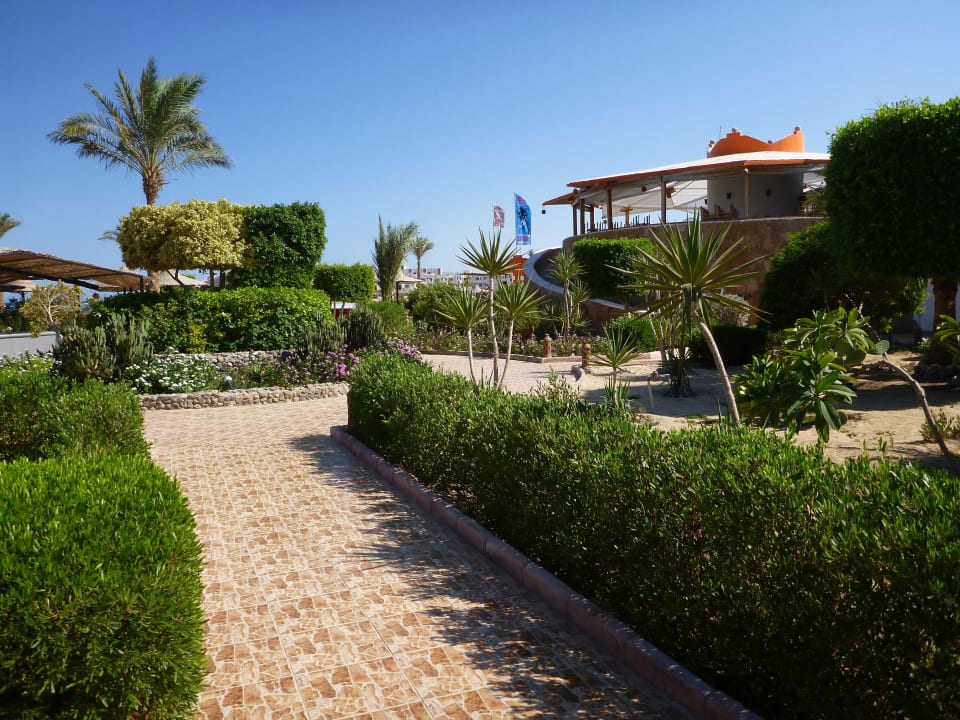 Links Bar, rechts Restaurant Hotel Coral Garden