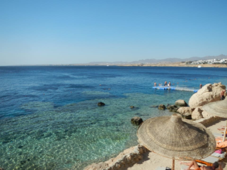 Tolles Hausriff Sharm Resort